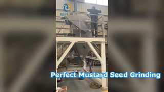 Máy nghiền pin để nghiền hạt mù tạt
