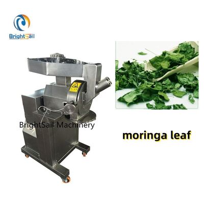Lá thảo dược, Lá chùm ngây và Máy nghiền búa tốc độ cao gia vị