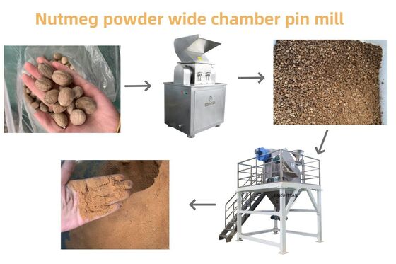 Máy nghiền hạt mù tạt Máy nghiền bột Pin Mill cho hạt dầu và gia vị